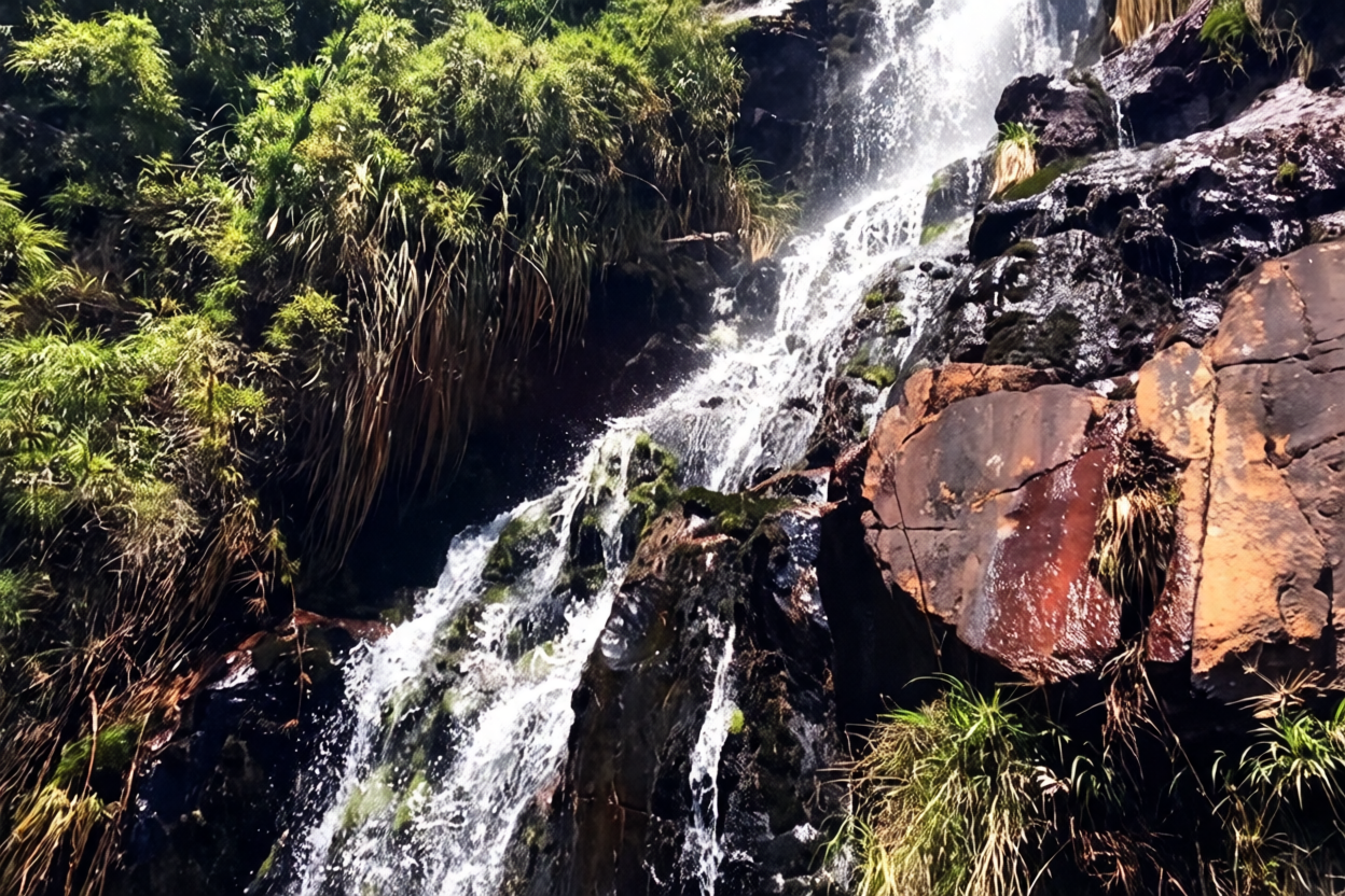 Santa Rosa de Viterbo cr 5